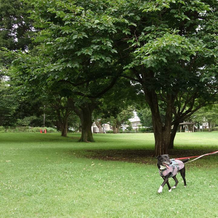 91093678 f480 4ae8 b424 2302bd7780d0 1719275233331