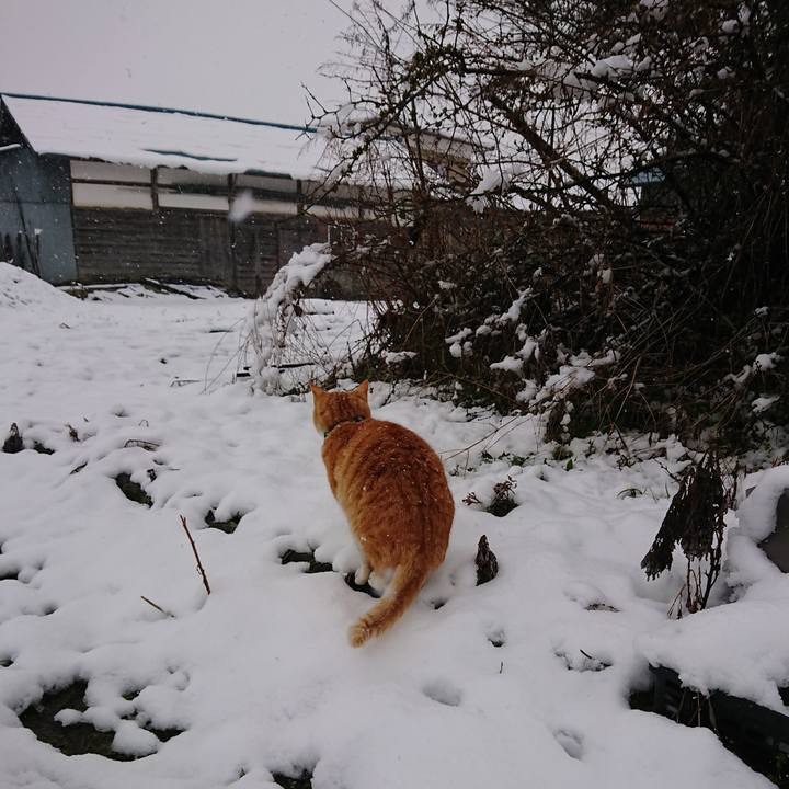 91093a5d b9db 47a0 aa59 d5839edd799d 1585454121035