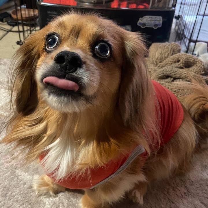 91093dde 1f7a 4f6c 8780 1fe2322a3a89 1671574219633