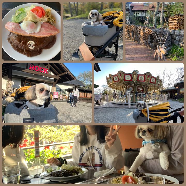 91094696 bbb4 4126 bca2 bddb51e6092c 1683422144911