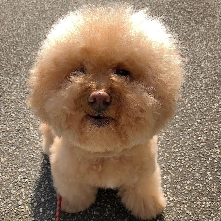 9109697b 95f5 4cc2 ac59 e867474693f4 1526342222935