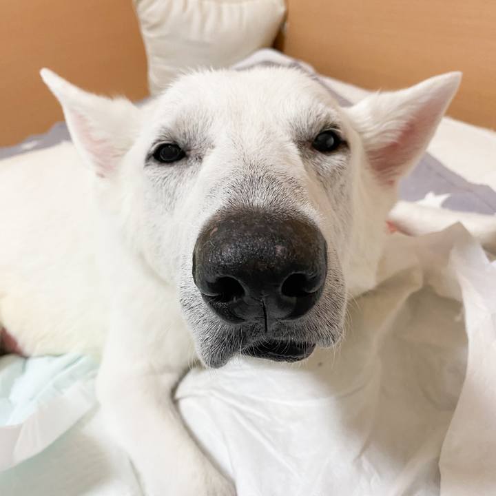 91098d06 03bc 4693 afd9 56d22e0a06bd 1669187415320