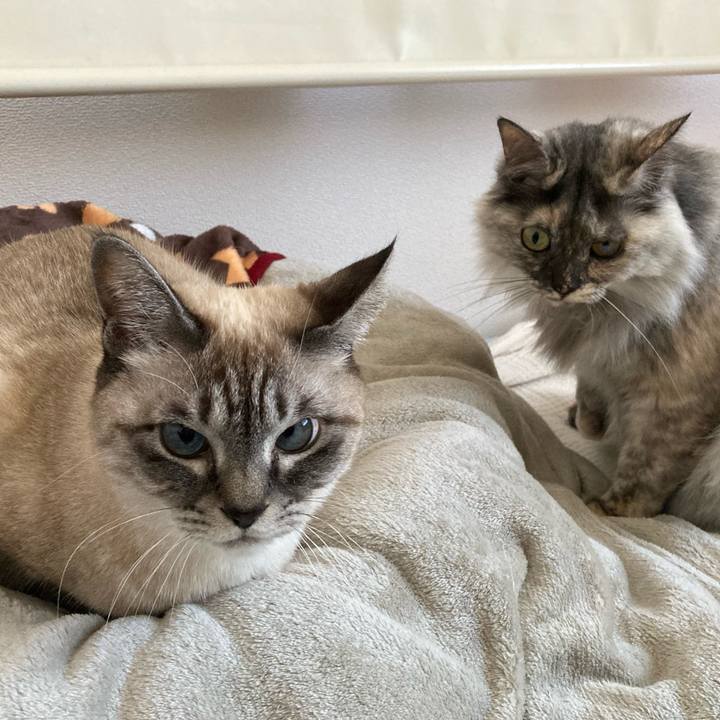 9109cecb 12ef 414b 8e17 3b2298910216 1767408925772