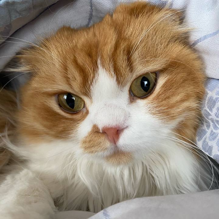 910a0865 f3cc 4ae8 b239 b2f87bdb644b 1602227884827