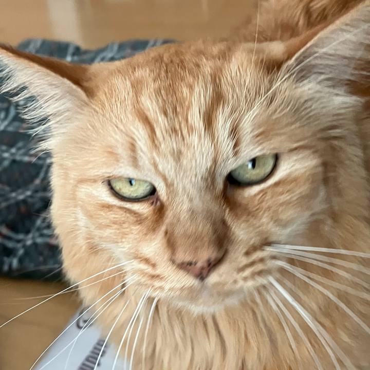 910a28b7 eff4 437b bcc2 1992a7b3ab4a 1758686314816