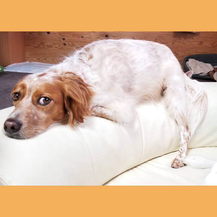 910a5ed0 0bc8 49ae 81b8 87a791b0ab87 1587197197179