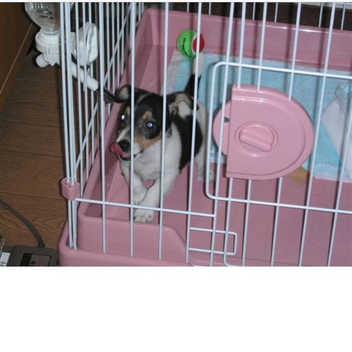 910a68aa 4af8 4c64 b1b1 eb89a6be0559 1575267811680