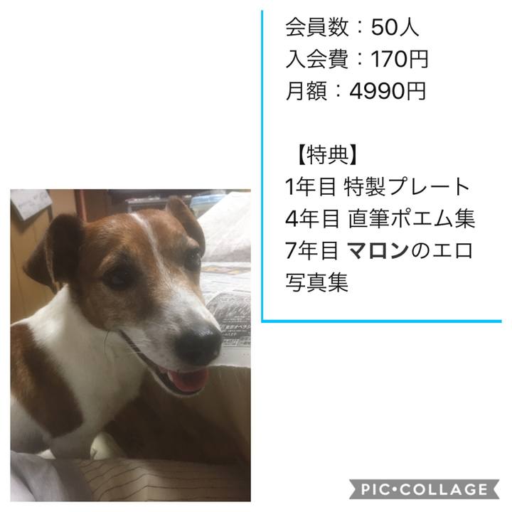 910a8754 f663 4a2c 99a7 9ad3c299ee6e 1568378801457