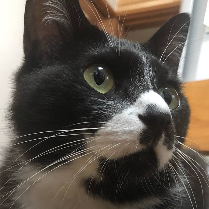 910a96cf cbe8 4dd1 bdb9 9fb0ca509f9c 1663398516878