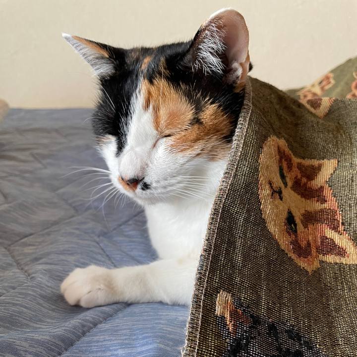 910a9d4b 365d 4b32 8cbb 2d71b67fc3c8 1717627275983