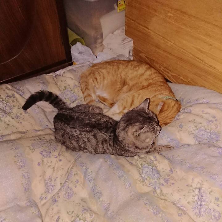 910aaccf dacf 42a5 aade c6294c11176c 1583764826435