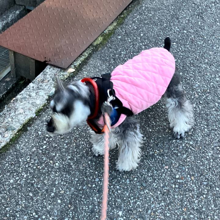 910ab93b bc3b 4dd3 98ba 316a210c9a77 1773233460410