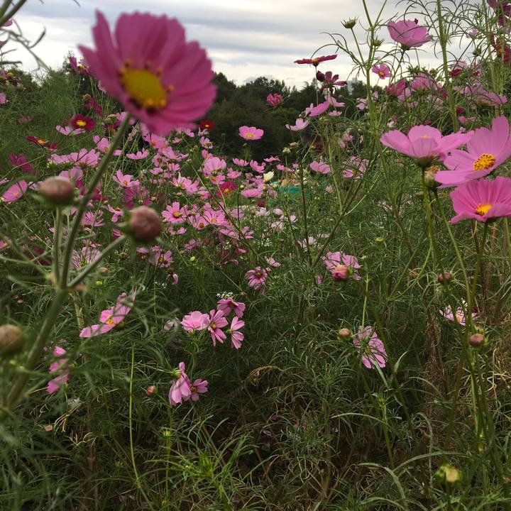 910ad04a b154 46e8 bc0d 7269d1b83d3b 1570374088575