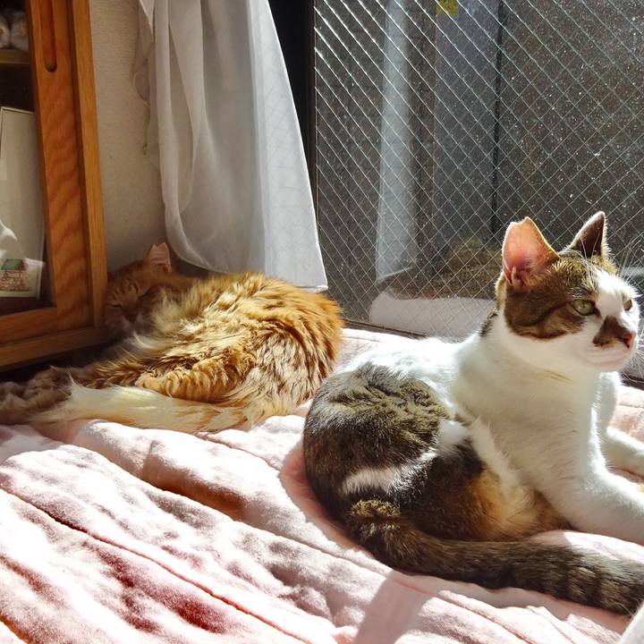 910aef9f 38d3 432f 8a1d 1b085012f9b0 1554938094546