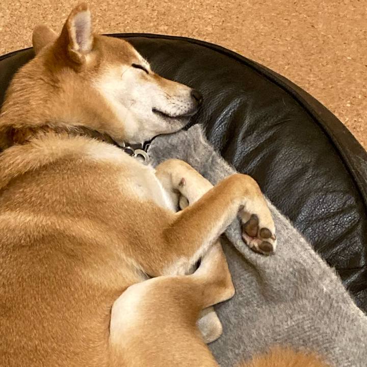 910af396 a39c 4ca9 9fff 0b0435bab961 1639911857150