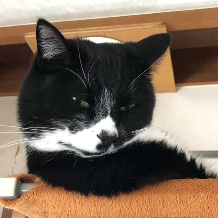 910b04cc edd7 4764 b0d0 d89e10eabc66 1612323874420