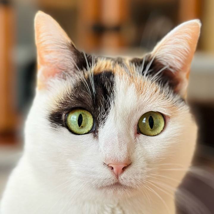 910b0c4a 5a2c 48a8 941f 70ab90a4fbdb 1707789151975