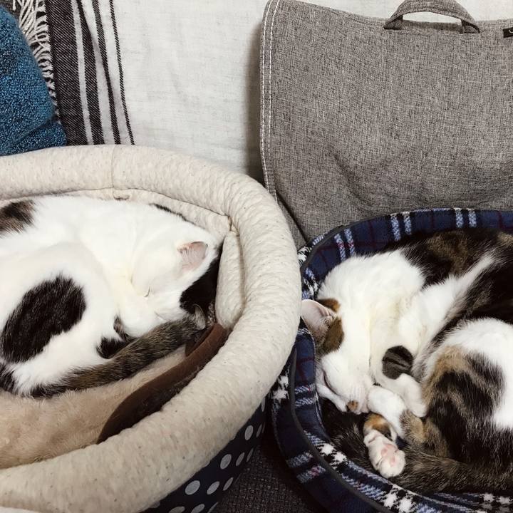 910b275e cef1 4b00 8f01 0b2ee0b4662a 1581583251519