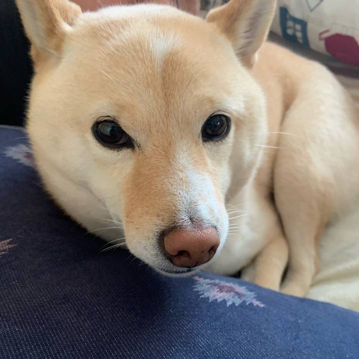 910b8f73 aa36 42a3 98e3 8d974c73db6f 1615245337694