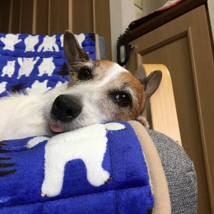 910bcbcc c0a8 474d abb0 7688af146e63 1599608135094