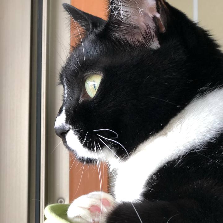 910c2496 87b0 4dc6 8b1b 969611974549 1572924437773