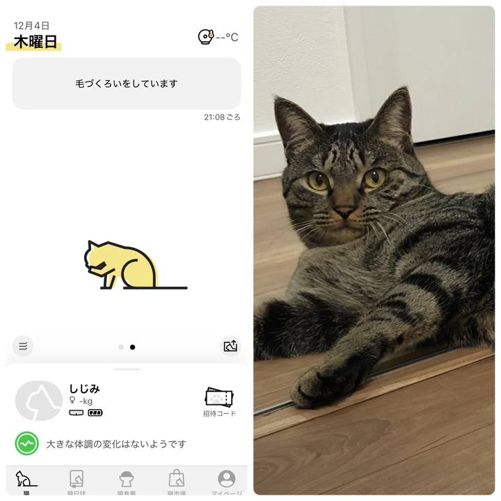 910c49b1 f81e 4583 bb65 34f281d25a07 1764850441344