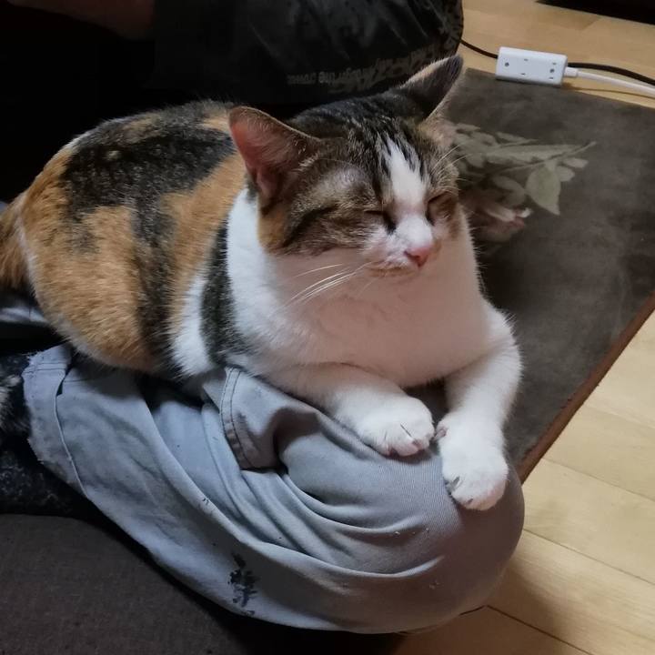 910c5d13 d5ce 42a6 bce3 153a57752afa 1606259180833