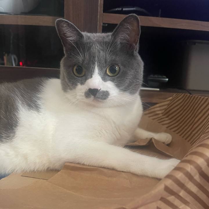 910c6a5f 6d84 4749 934d 2671228fabef 1689118552149