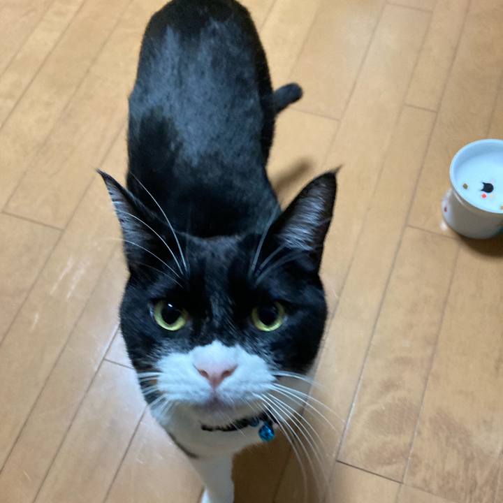 910c6aba 67cd 444e ad18 2cf5e0db0e5b 1705898629770