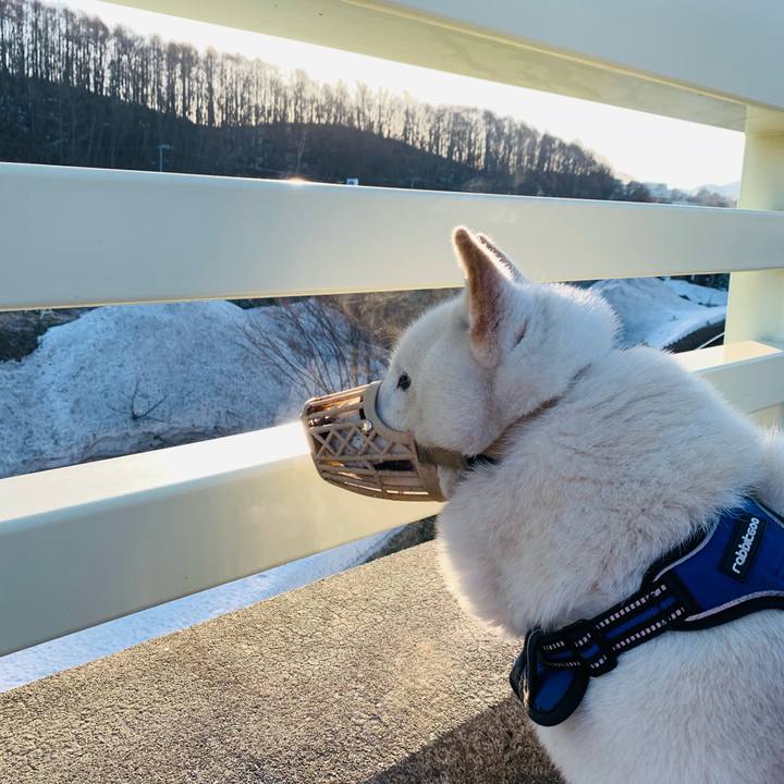 910c8b93 42ee 4e2c 8057 a0404e2be2c5 1649109443252