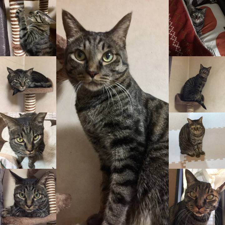 910cadc5 1870 4a4e ac3b e48832389130 1556779398543