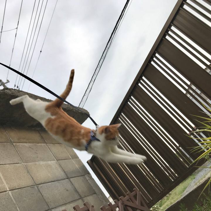 910caf0d a07c 416c b0a6 104905f21bc1 1525603727155