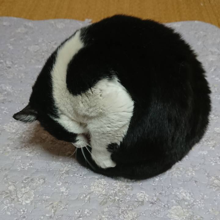 910cb81e 884c 44bb a002 c7b873969482 1548646530060