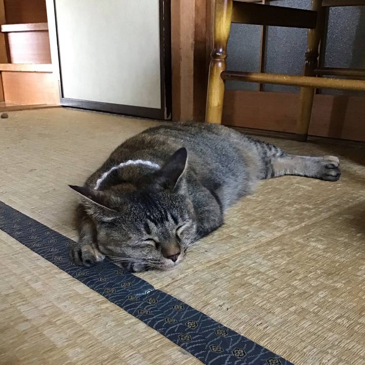 910ce3a5 d28d 415e a21d bc623854ea73 1689679273646