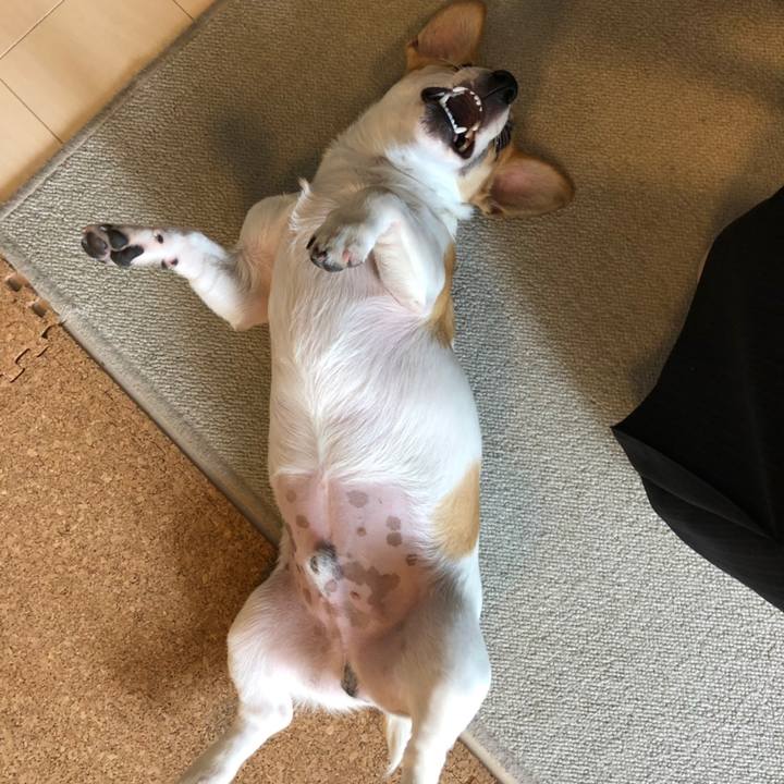 910cefc1 6d49 48e0 a3d7 739b3f22fd3a 1558314061523