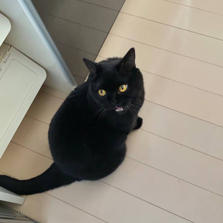 910d2093 b23c 4683 96e1 e8fea945d512 1698193299597