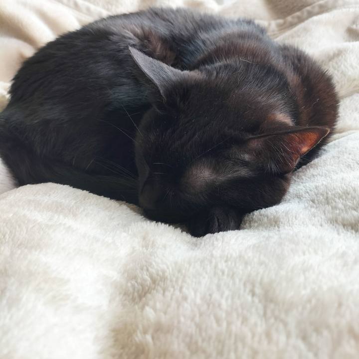 910d3bad 9337 4eeb 89d9 2c379893cd03 1711848256850