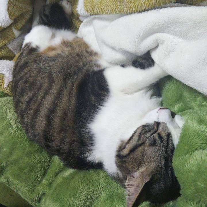 910d3f68 cddc 48e4 af71 bd6e65a07dc1 1643542492530