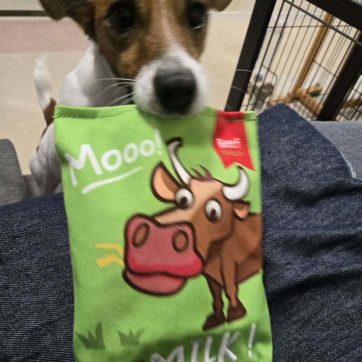 910d477d 7515 47e8 9e68 b40adf910979 1763217174285