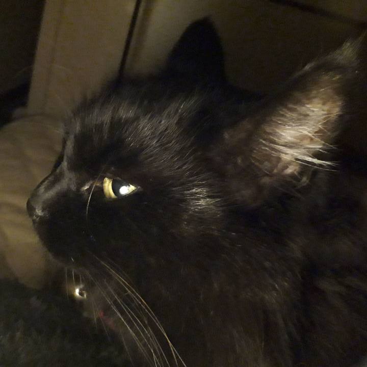 910d5006 cb63 48d9 8f90 5f245473832a 1542720684846