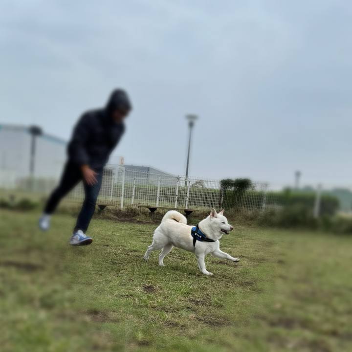 910d7b74 e65a 426d 8fc9 1749724a7e10 1760359862520