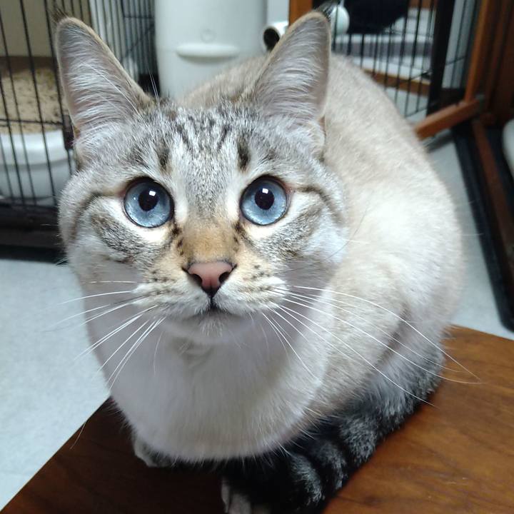 910d8938 b260 445d aaa8 16014bfd56d4 1646049872368