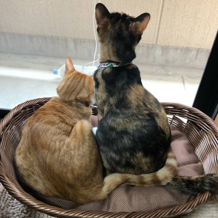 910daab9 2842 4632 9a71 c8ff0f01dc9a 1569578325184