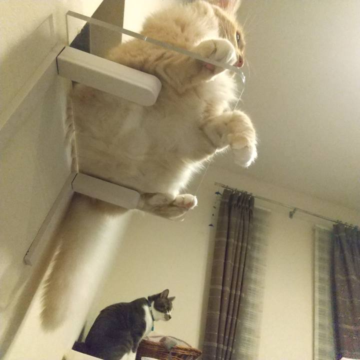 910dc287 e0b9 49ca b4b0 f53e609805ef 1625320588867