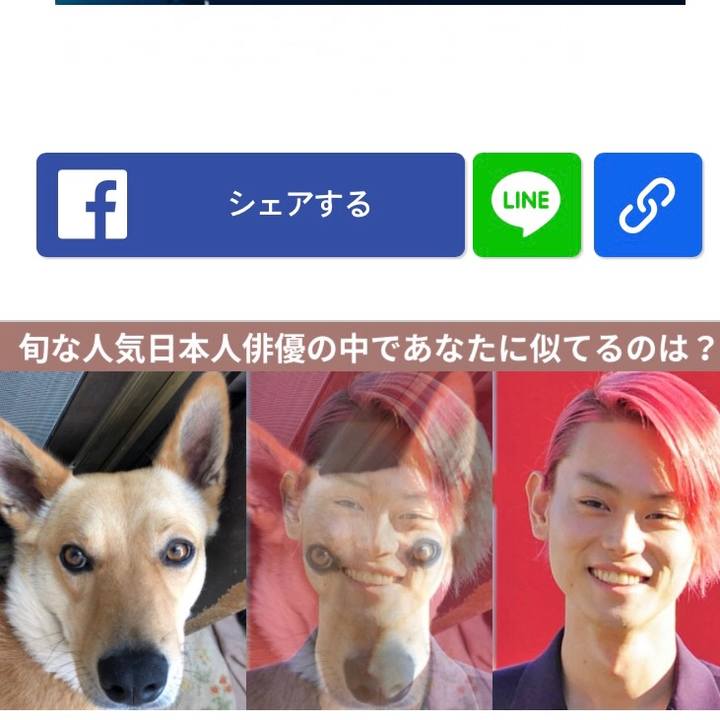 910dcffd bc76 4bac 855c 4a7371cce18d 1528577863107