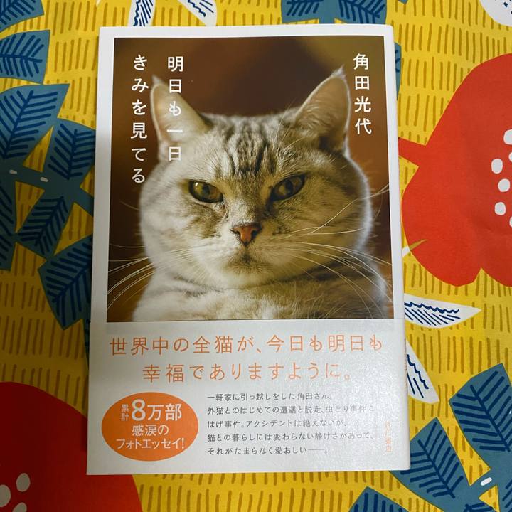 910defa0 f5e3 4480 8c5d ba925bc8cbf1 1758622620563