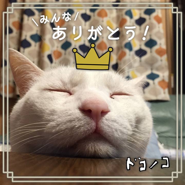 910e0541 b0cf 43ba a4b6 7b943ccb9a27 1622942564404