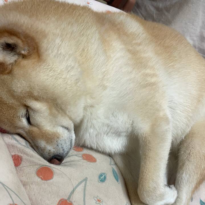 910e370e 9af5 4ebe af8e 54c12855f88d 1750207907938