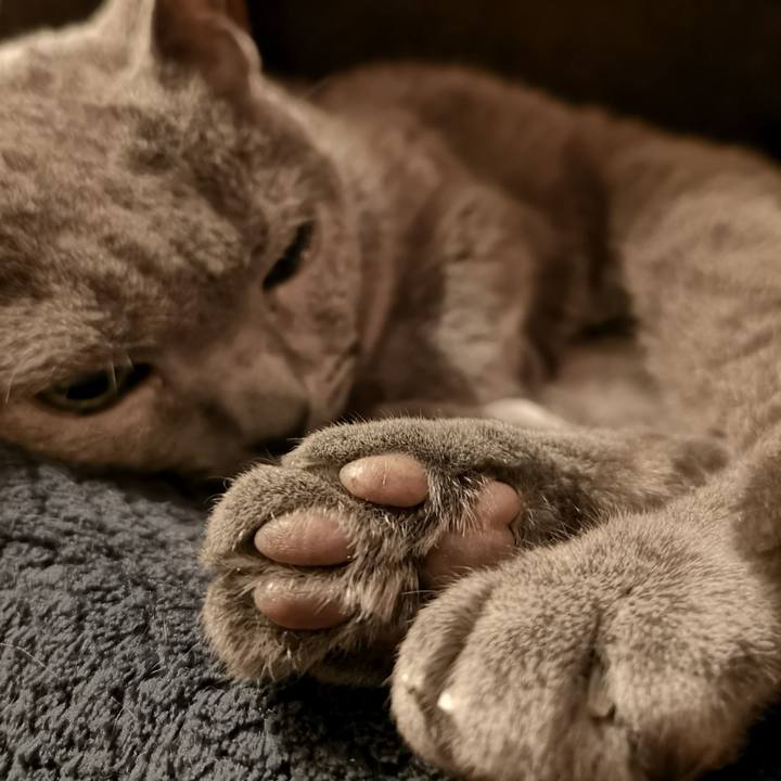 910e3d8d 6336 427b 8b64 97b52ecf2e4f 1573044372567