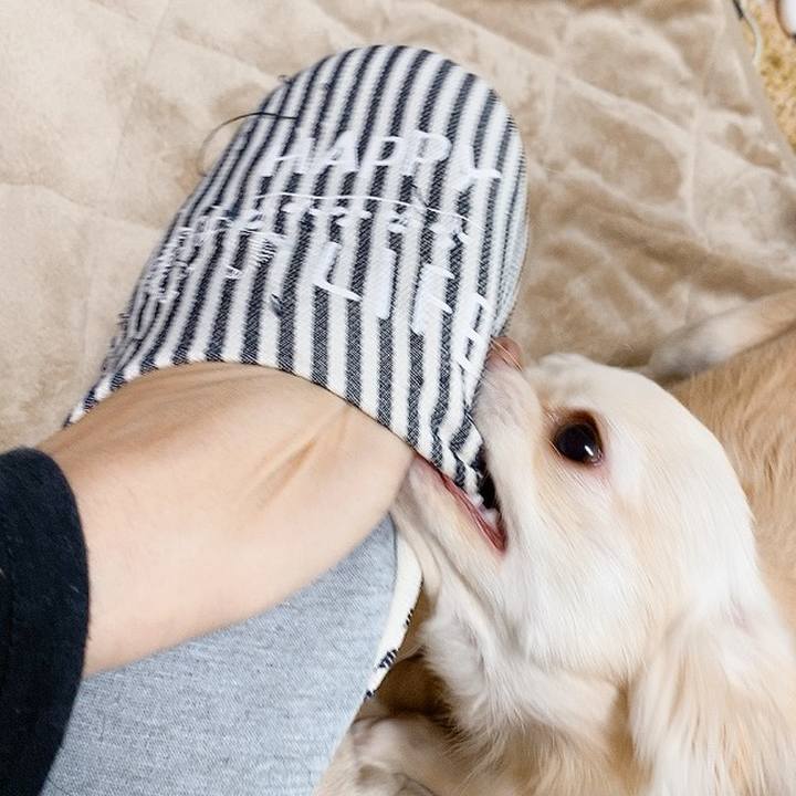 910e63c6 d5fd 4c0d a554 58c51a6209c2 1610355535501